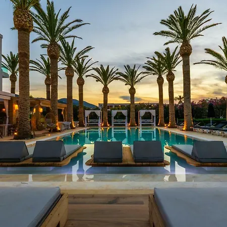 Drossia Palms And Nisos